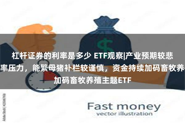 杠杆证券的利率是多少 ETF观察|产业预期较悲观+高负债率压力，能繁母猪补栏较谨慎，资金持续加码畜牧养殖主题ETF