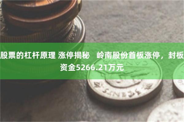 股票的杠杆原理 涨停揭秘   岭南股份首板涨停，封板资金5266.21万元