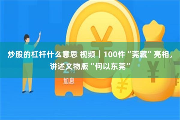 炒股的杠杆什么意思 视频｜100件“莞藏”亮相，讲述文物版“何以东莞”