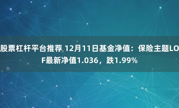 股票杠杆平台推荐 12月11日基金净值：保险主题LOF最新净值1.036，跌1.99%