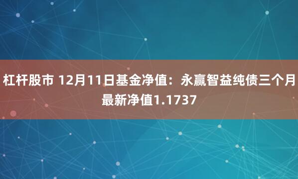 杠杆股市 12月11日基金净值：永赢智益纯债三个月最新净值1.1737