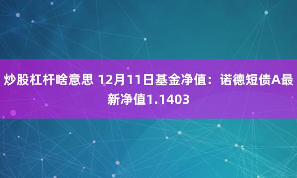 炒股杠杆啥意思 12月11日基金净值：诺德短债A最新净值1.1403