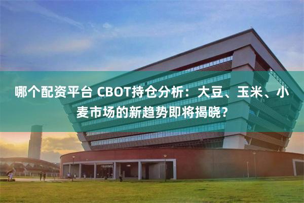 哪个配资平台 CBOT持仓分析：大豆、玉米、小麦市场的新趋势即将揭晓？