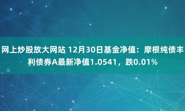 网上炒股放大网站 12月30日基金净值：摩根纯债丰利债券A最新净值1.0541，跌0.01%