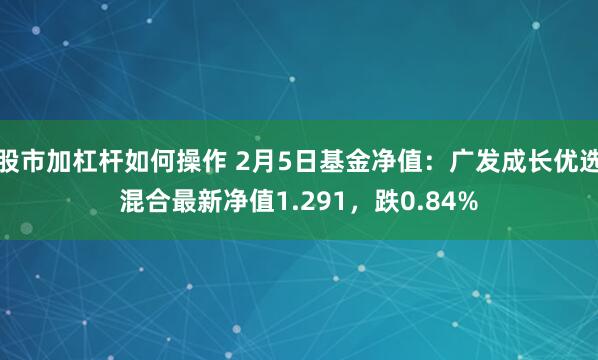 股市加杠杆如何操作 2月5日基金净值：广发成长优选混合最新净值1.291，跌0.84%