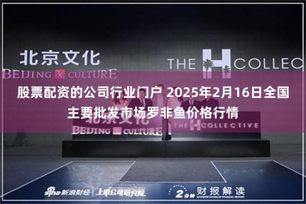 股票配资的公司行业门户 2025年2月16日全国主要批发市场罗非鱼价格行情