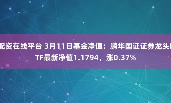 配资在线平台 3月11日基金净值：鹏华国证证券龙头ETF最新净值1.1794，涨0.37%