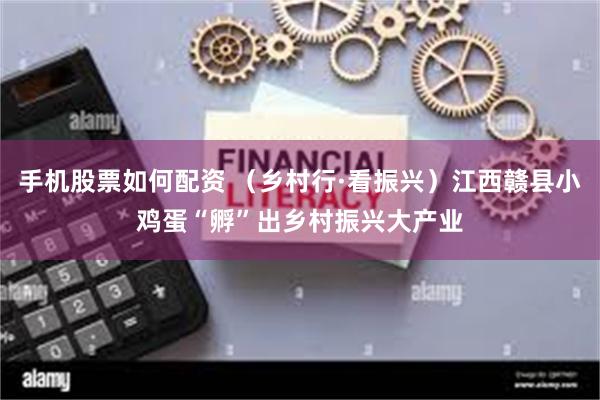 手机股票如何配资 （乡村行·看振兴）江西赣县小鸡蛋“孵”出乡村振兴大产业